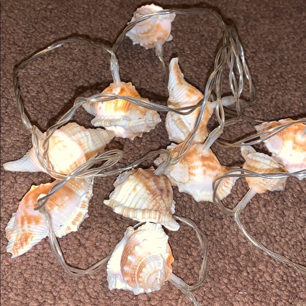 Shell 🐚 String Lights
